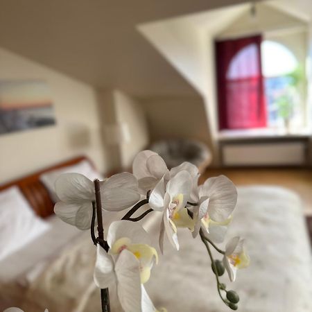 Old Town Apartment With Sauna Riga Esterno foto